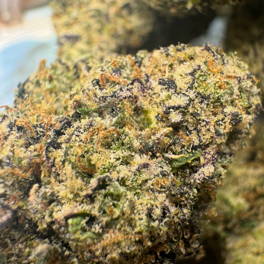 New Strain - Blue Zerds (31.6% THCa)