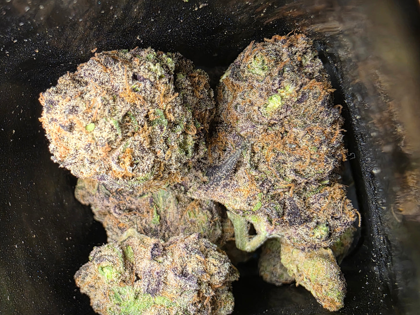 Blue Slushie (28.1% THCa)
