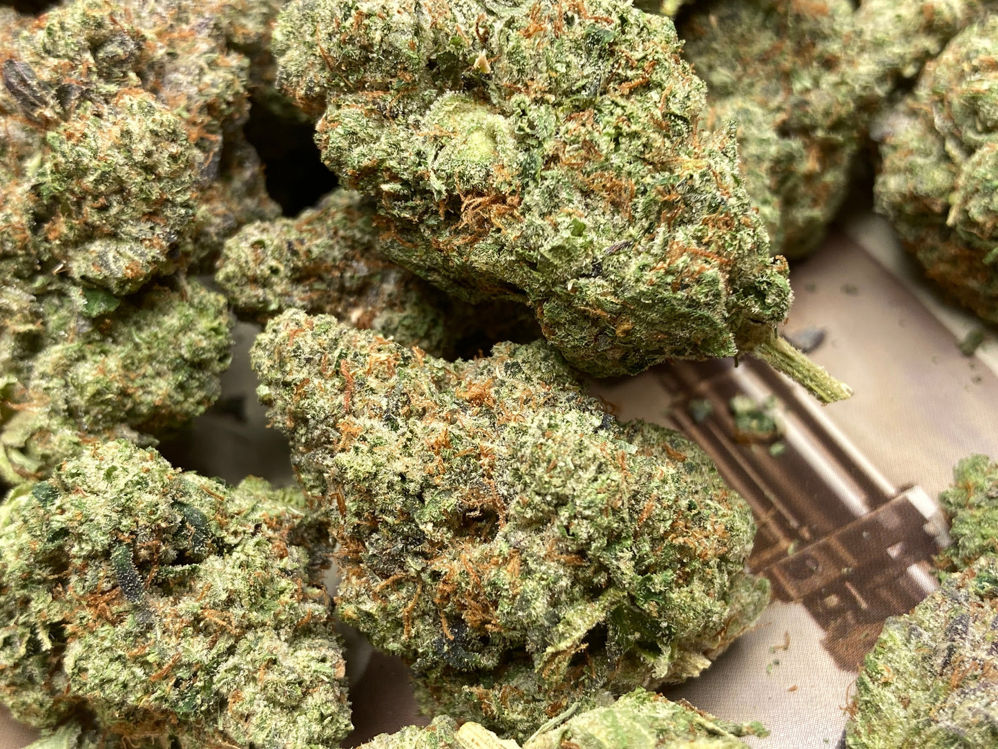 New Strain! Hash Burger (31.3% THCa)