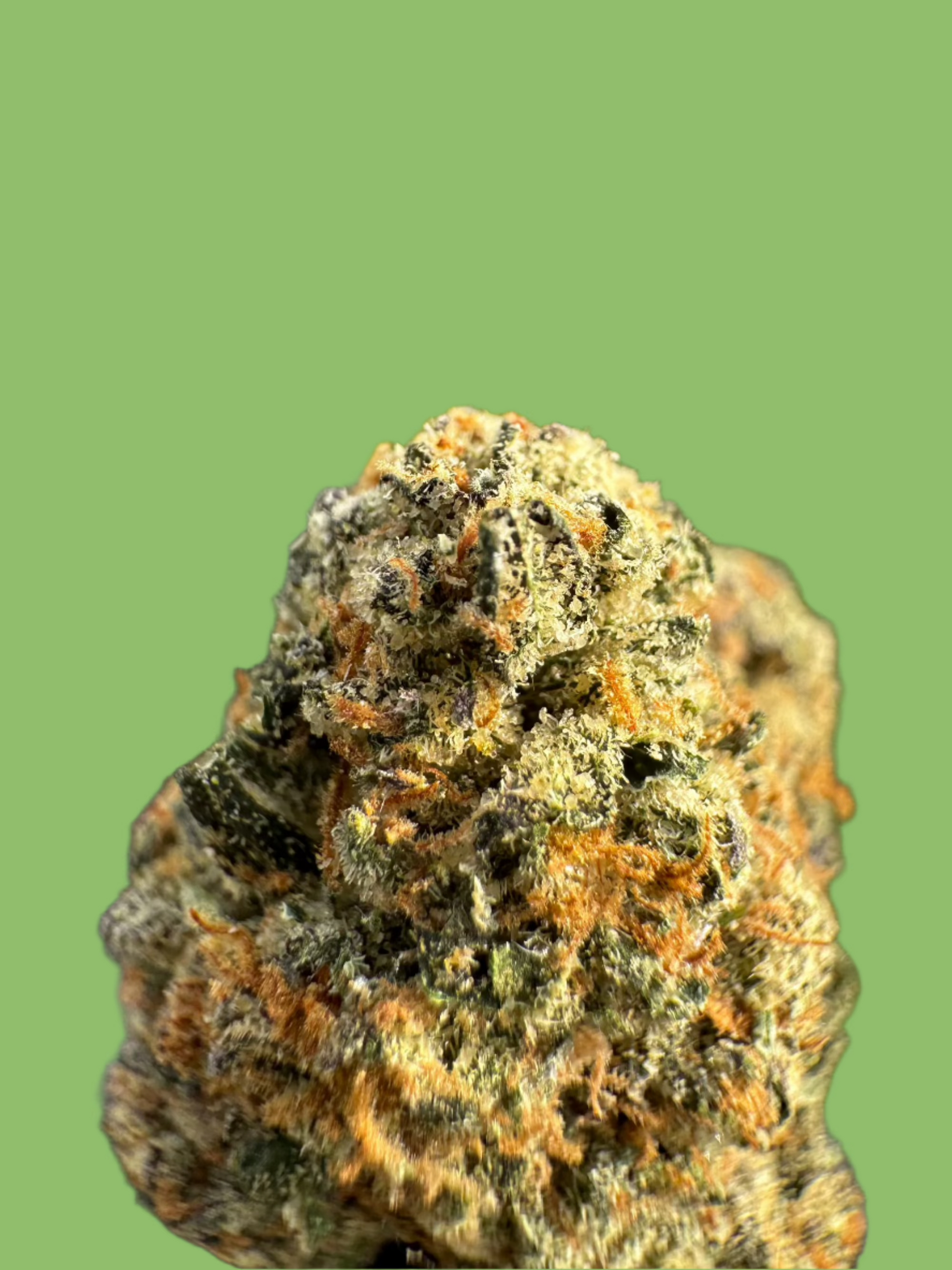 Sold Out - California Orange (33.4% THCa) - 316 Smoke Now THCA Delivery - Sativa
