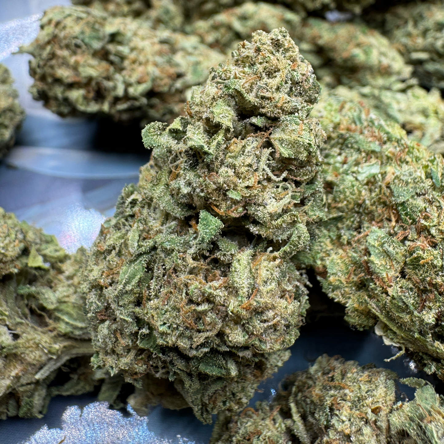 Sold Out - Jelly Cake - Green Pheno (31.8% THCa)