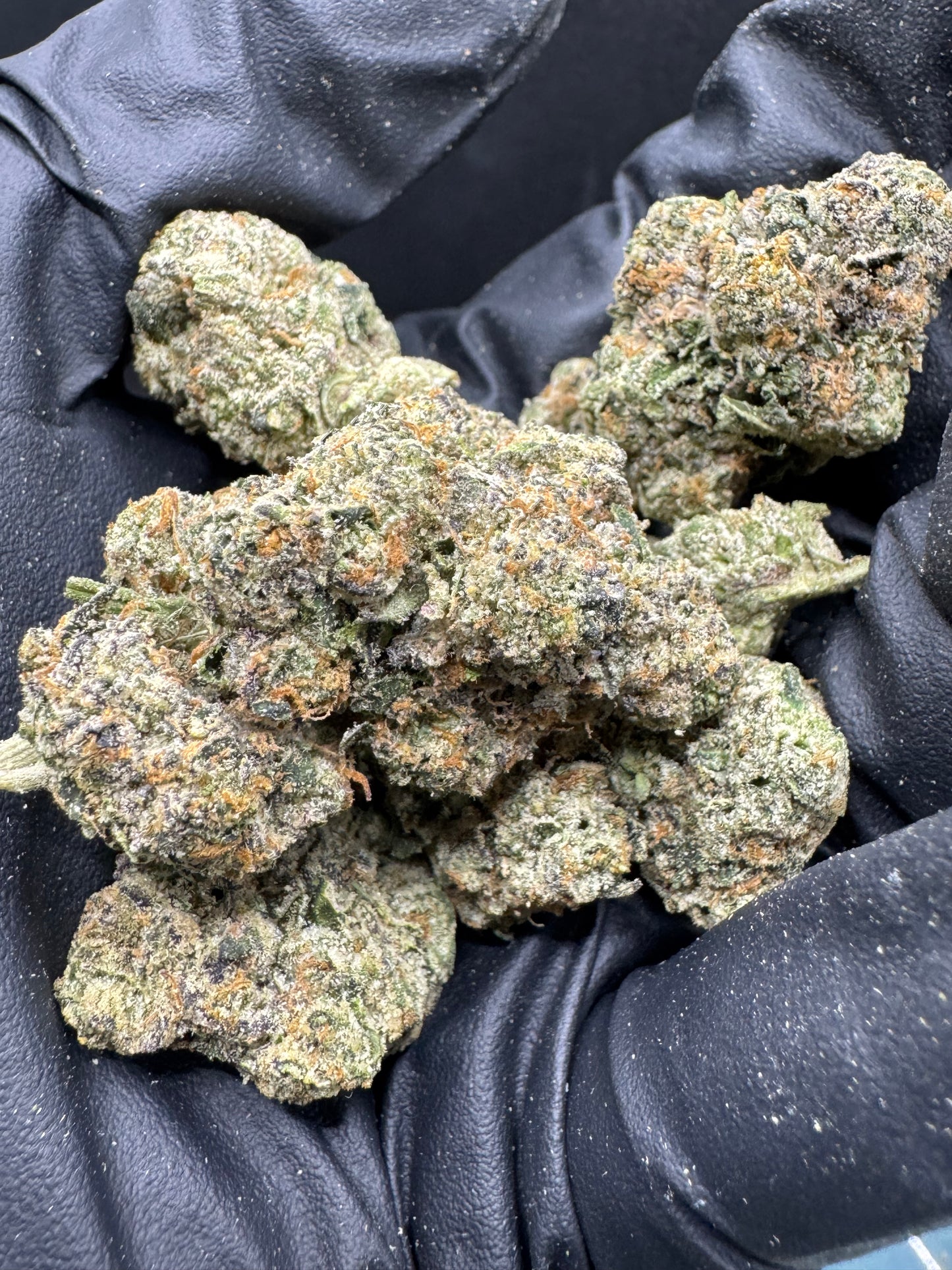 Sold Out - Candy Paint (27.7% THCa)