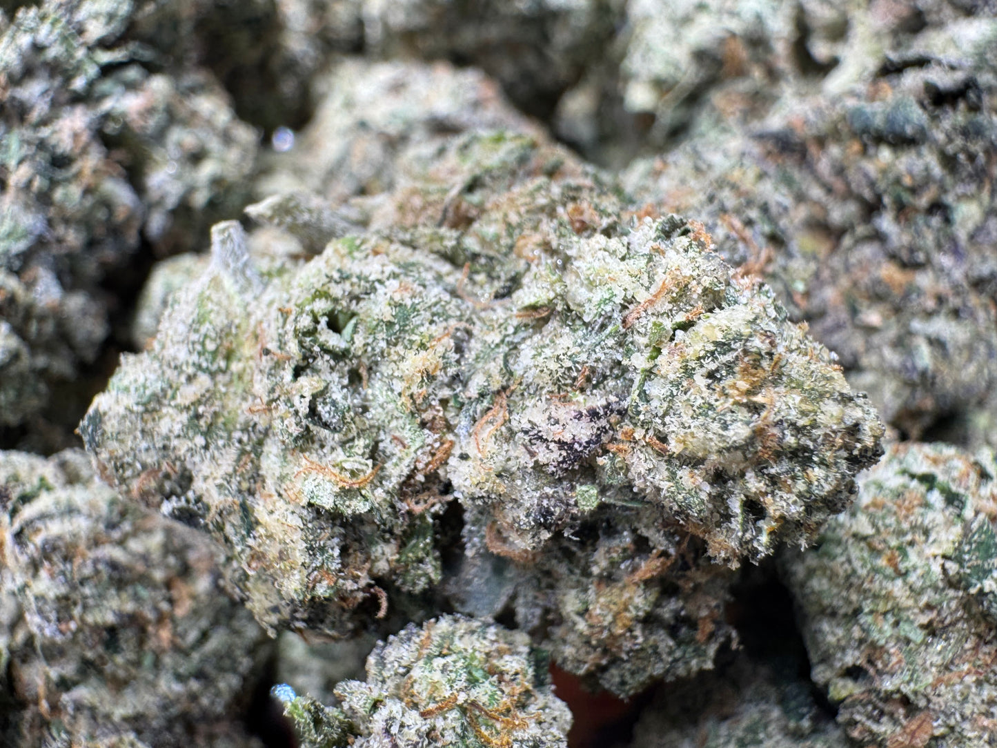 Sold Out - Candy Paint (27.7% THCa)