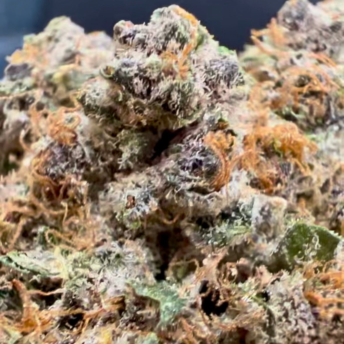 Sold Out - Jet Fuel Gelato (29.47% THCa) - 316 Smoke Now THCA Delivery - Aspen OG x High Country Diesel x Sunset Sherbet x Thin Mint GSC (Hybrid)