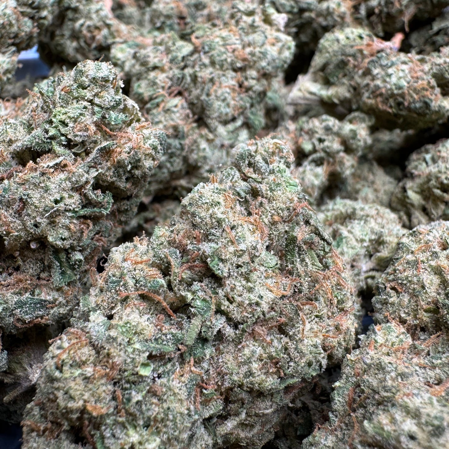 New Strain - Chemlatto #33 (31.3% THCa)