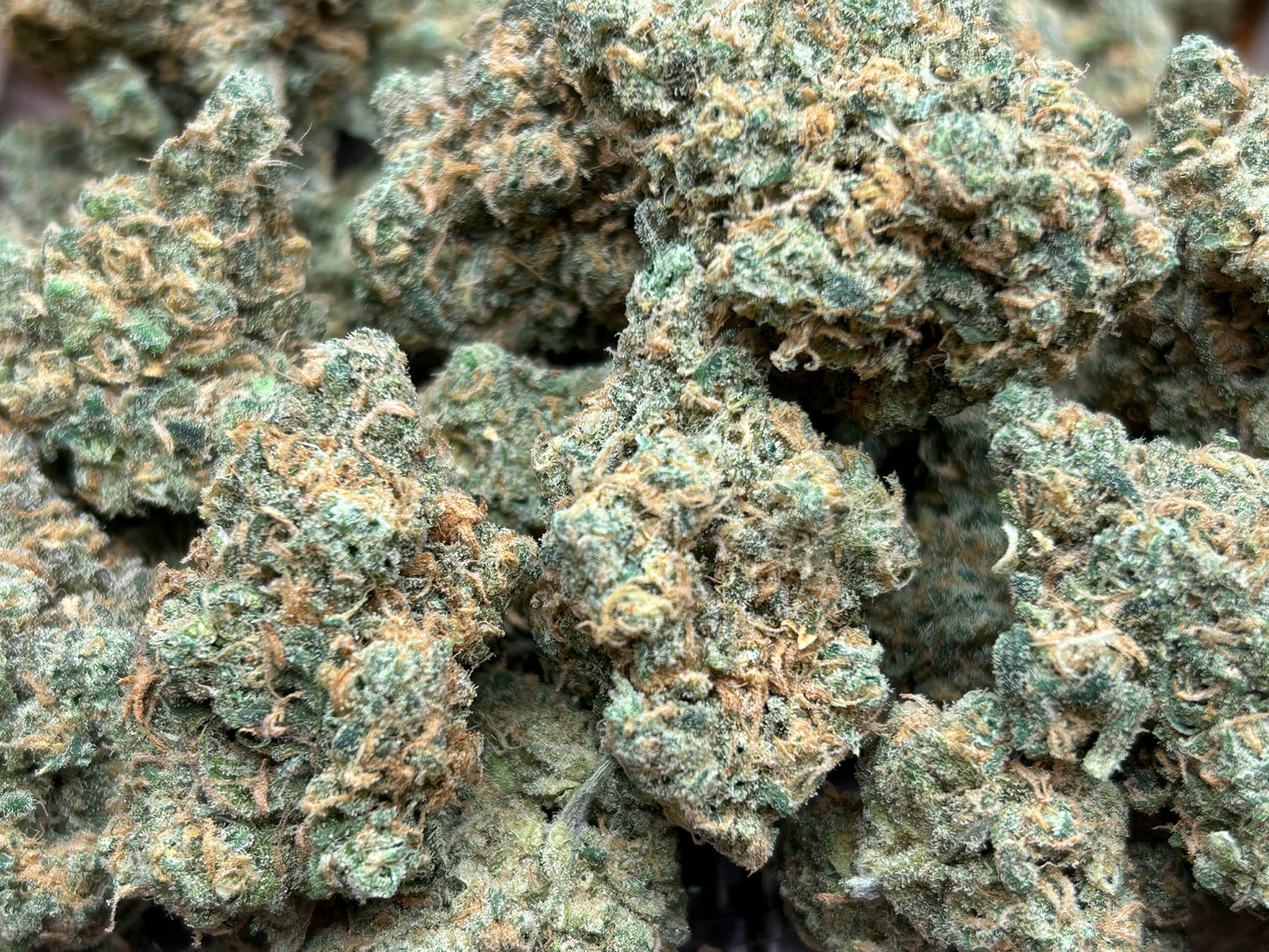 New Strain! Jack Herer (32.0% THCa)