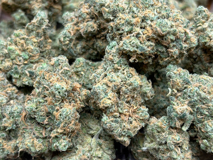 New Strain! Jack Herer (32.0% THCa)