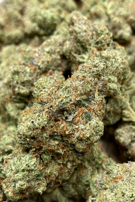 New Strain! Hash Burger (31.3% THCa)