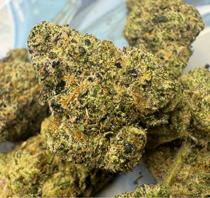 New Strain - Blue Zerds (31.6% THCa)