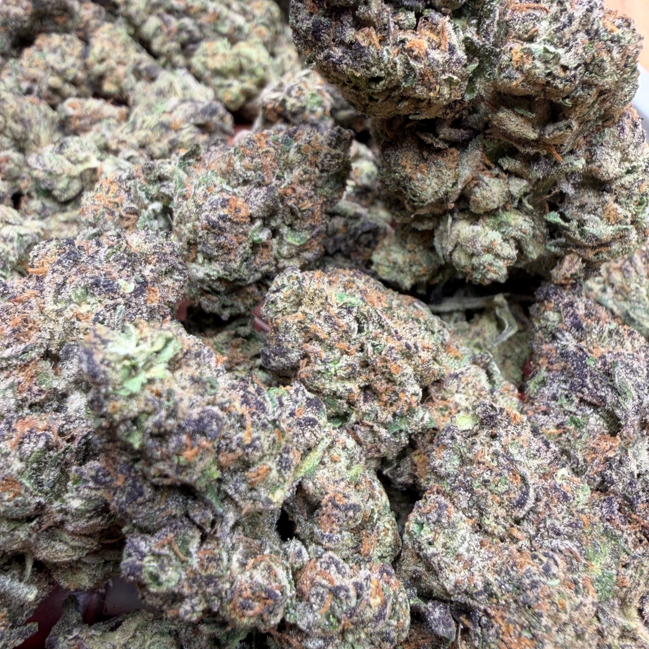 New Strain - Blue Guava Gelato (31.7% THCa)