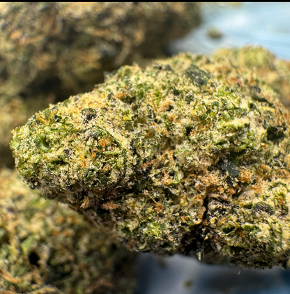 New Strain - Blue Zerds (31.6% THCa)