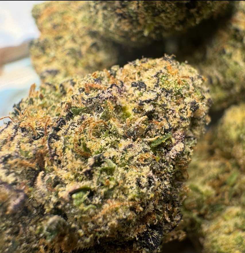 New Strain - Blue Zerds (31.6% THCa)