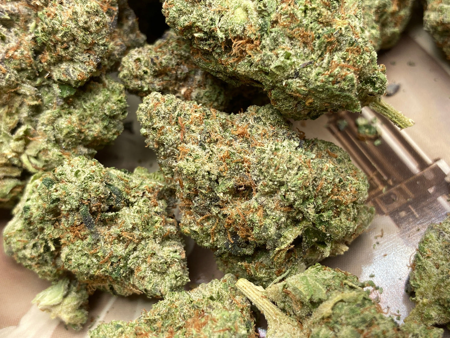 New Strain! Hash Burger (31.3% THCa)