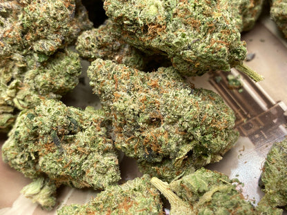 New Strain! Hash Burger (31.3% THCa)