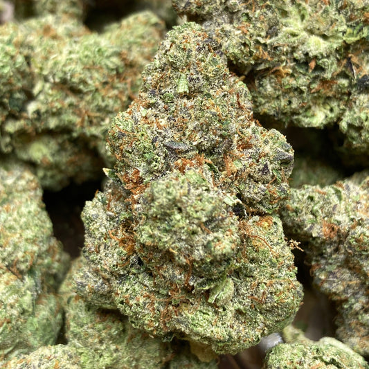 New Strain! Hash Burger (31.3% THCa)