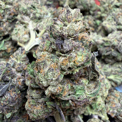 New Strain - Purple Gushers (31.2% THCa)