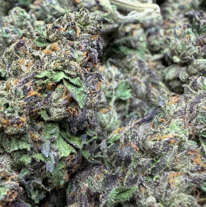 New Strain - Purple Gushers (31.2% THCa)