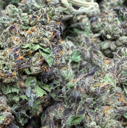 New Strain - Purple Gushers (31.2% THCa)