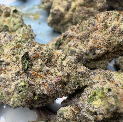 New Strain - Cake Pop (31.9% THCa)