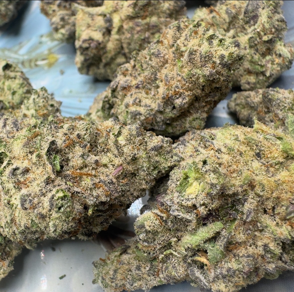 New Strain - Cake Pop (31.9% THCa)