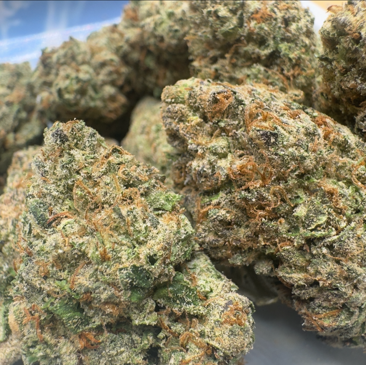 New Strain - Lemon Cherry Runtz (31.1% THCa)