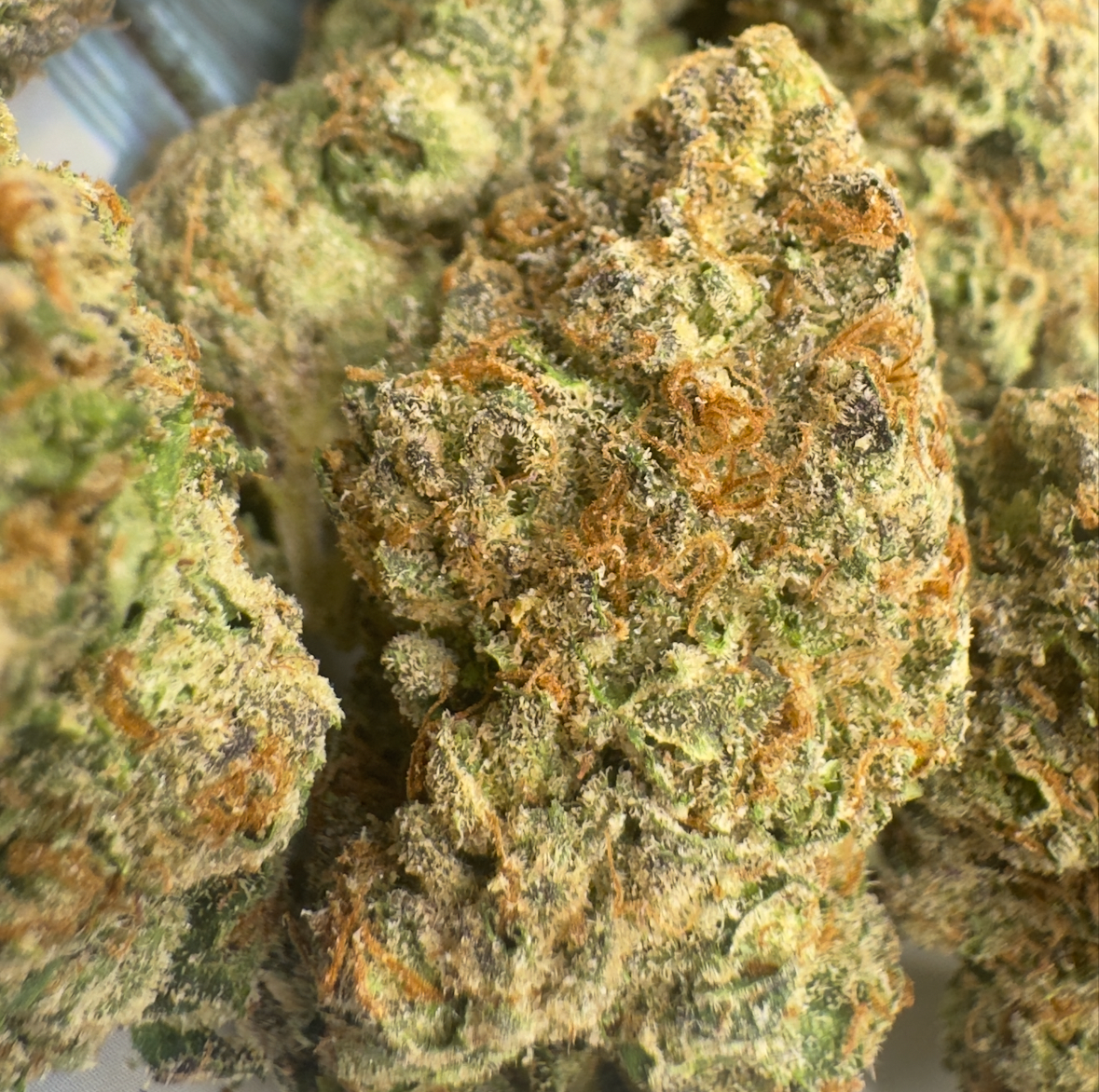 New Strain - Lemon Cherry Runtz (31.1% THCa)
