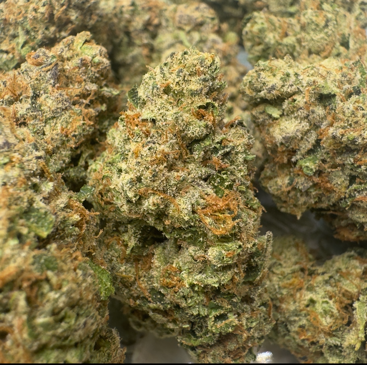New Strain - Lemon Cherry Runtz (31.1% THCa)