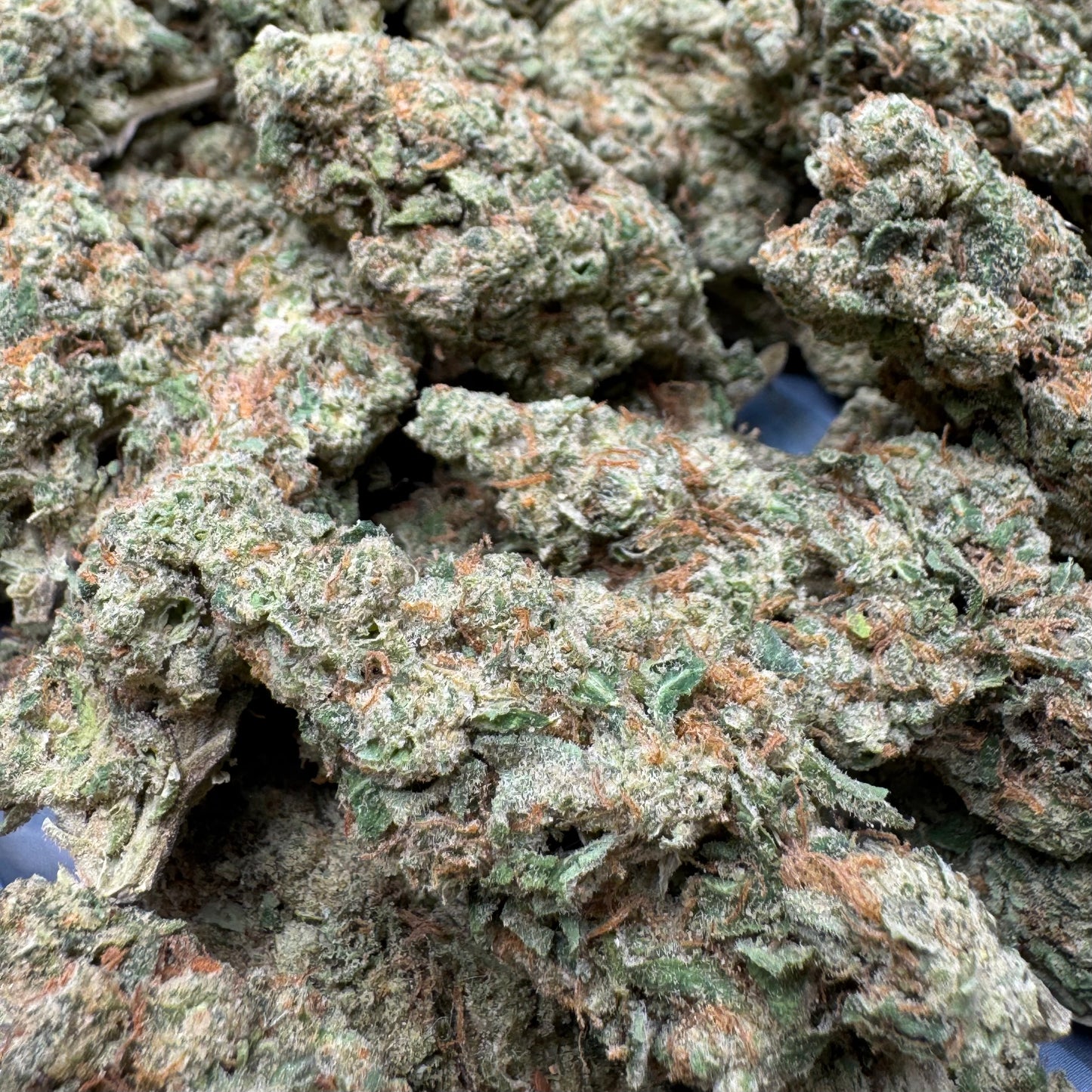 Sold Out - Chemlatto #33 (31.3% THCa)