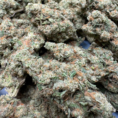 Sold Out - Chemlatto #33 (31.3% THCa)