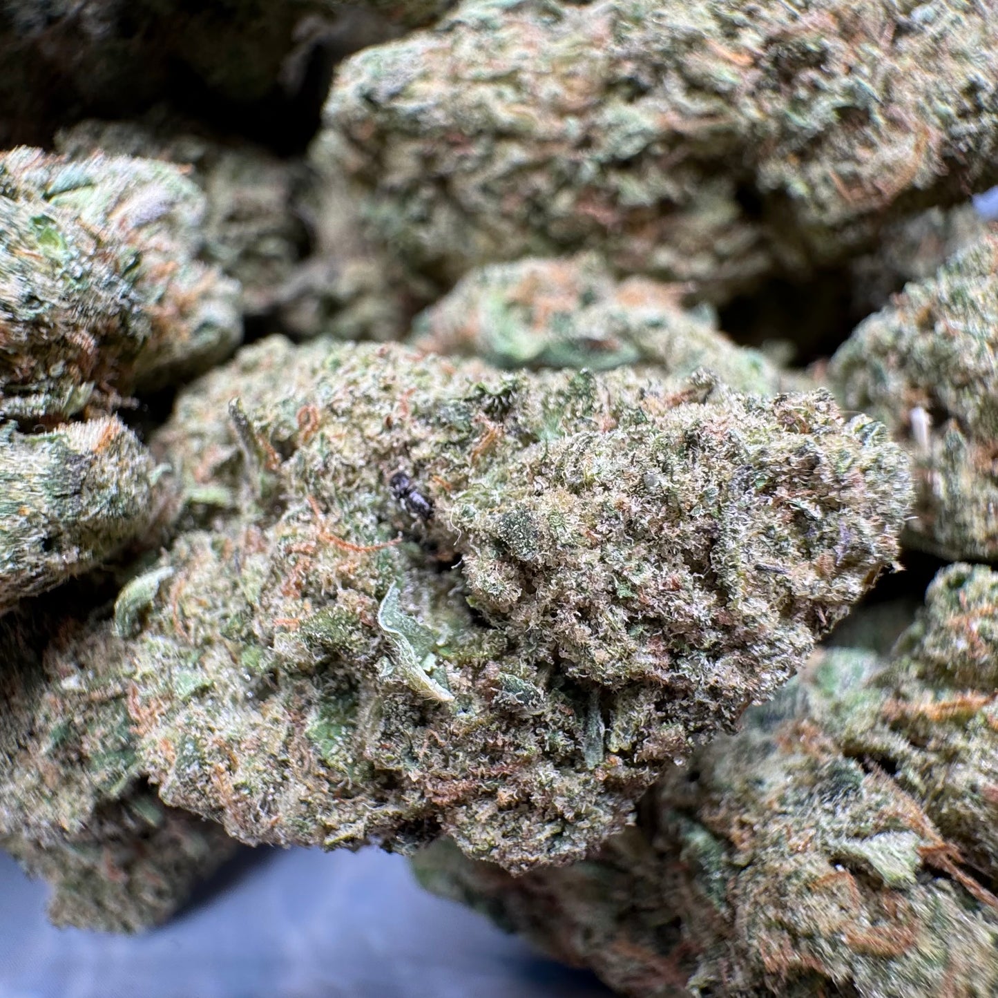 Sold Out - Chemlatto #33 (31.3% THCa)