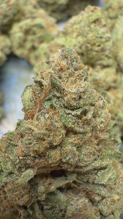 Sold Out - Jelly Cake - Green Pheno (31.8% THCa)