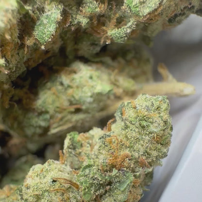 Sold Out - Chemlatto #33 (31.3% THCa)