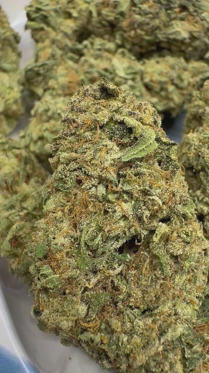 Sold Out - Jelly Cake - Green Pheno (31.8% THCa)